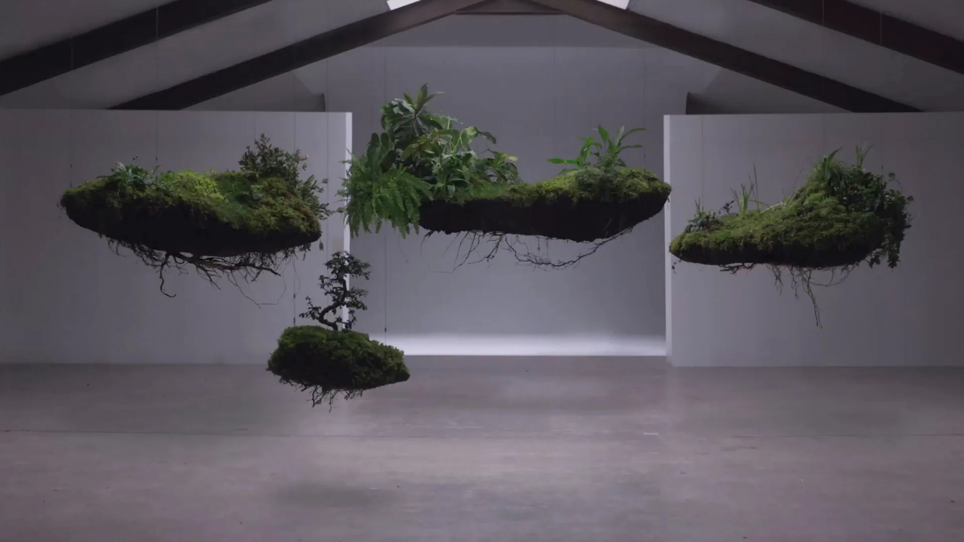 WASO - ALL THINGS BEAUTIFUL COME FROM NATURE (Director’s Cut)