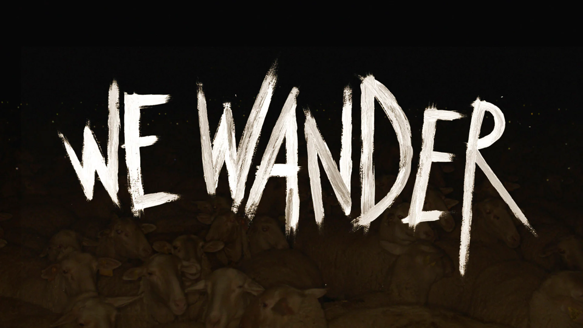 DVEIN - WE WANDER