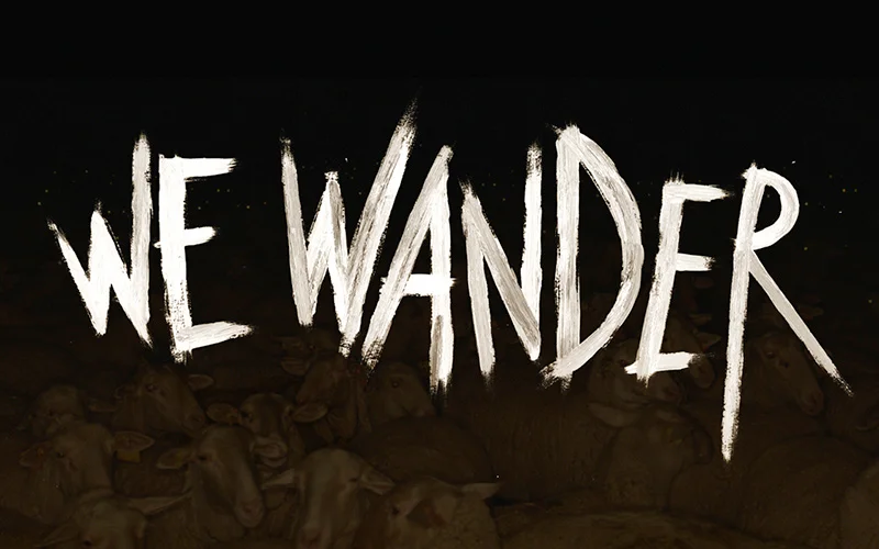 DVEIN - WE WANDER