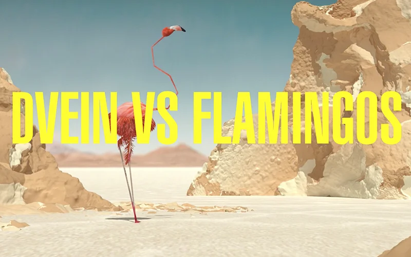 DVEIN VS FLAMINGOS