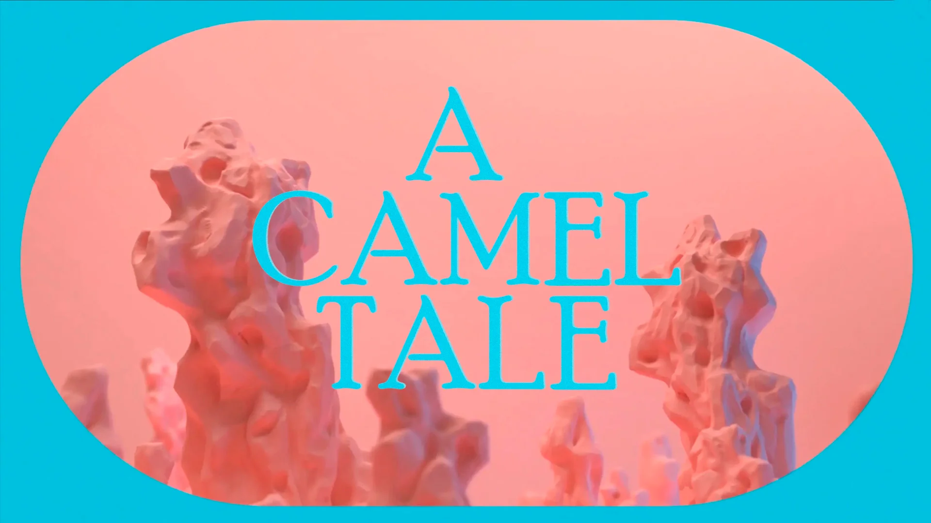 A CAMEL TALE