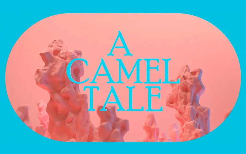 A CAMEL TALE